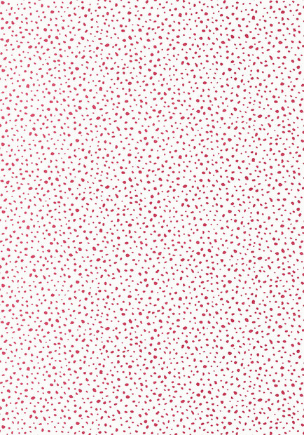 Thibaut behang Cayo T13156