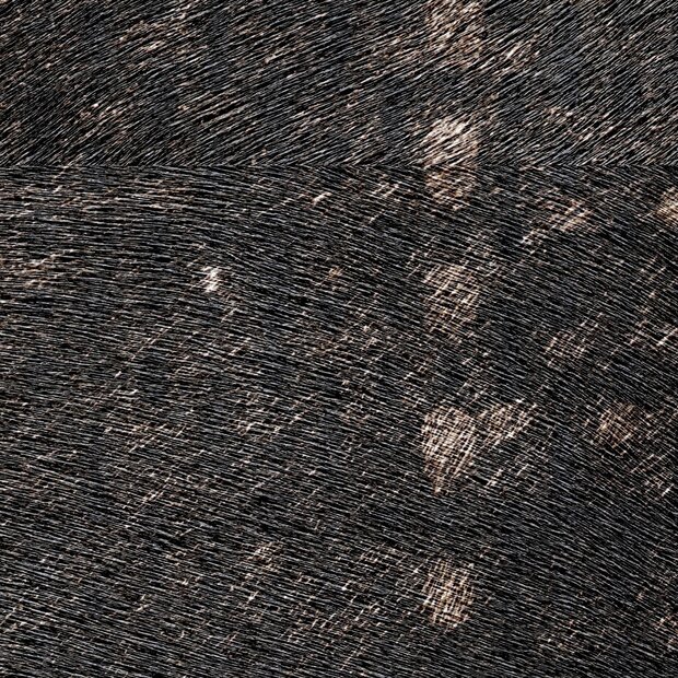 elitis balmoral behang VP_615_01