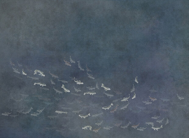 Koi Night Coordonne 6600082 behang Core luxury by nature