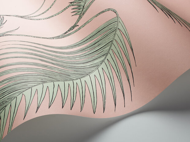 Cole &amp; Son Palm Leaves behang Icons behangpapier 112/2005