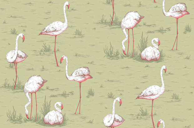 Cole &amp; Son Flamingos behang Icons behangpapier 112/11038