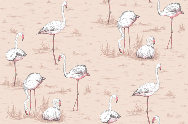 Cole &amp; Son Flamingos behang Icons behangpapier 112/11039