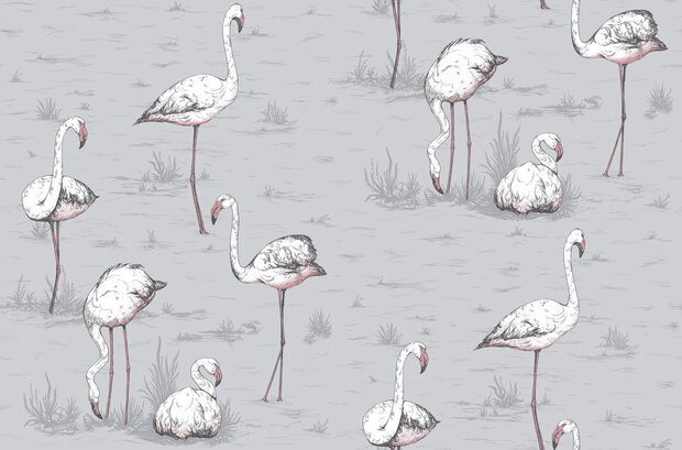 Cole &amp; Son Flamingos behang Icons behangpapier 112/11040