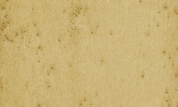 Arte Stellar Behang Metal X 37516