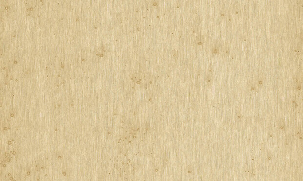 Arte Stellar Behang Metal X 37518