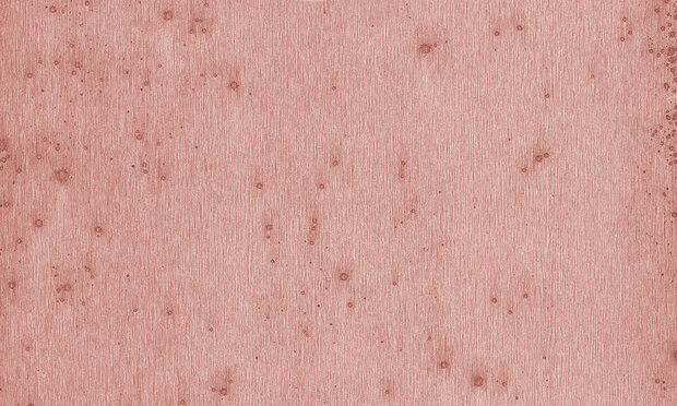 Arte Stellar Behang Metal X 37520