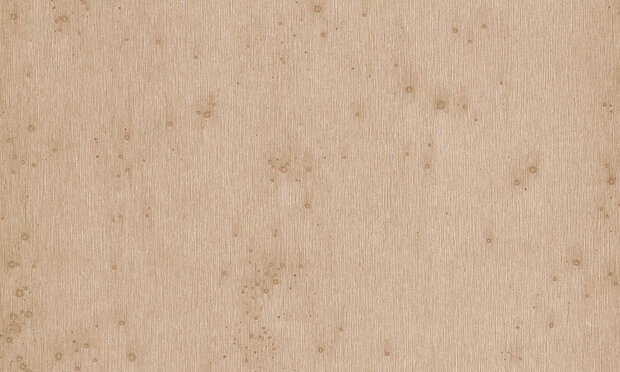 Arte Stellar Behang Metal X 37521