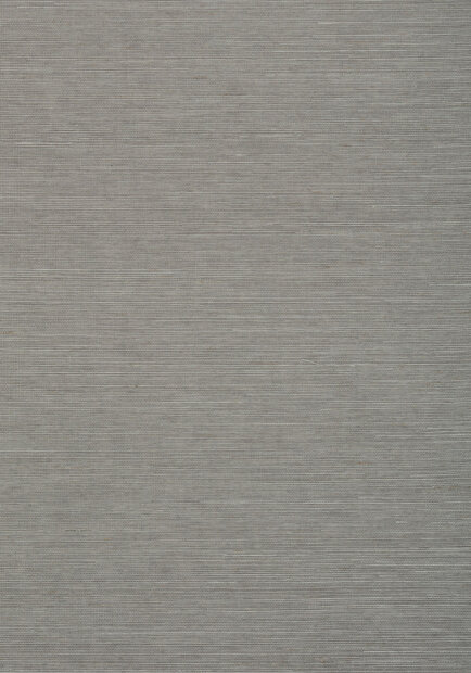 Shang Extra Fine Sisal Behang Thibaut Grasscloth Resource Volume 4 Steel T72838