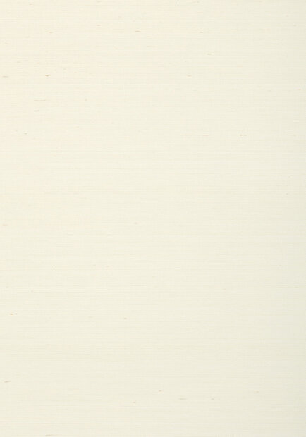 Shang Extra Fine Sisal Behang Thibaut Grasscloth Resource Volume 4 T72831 White