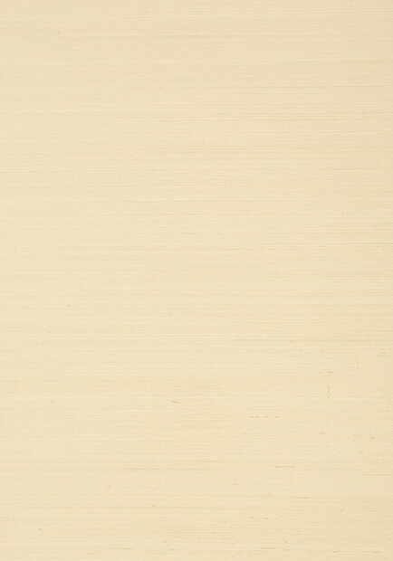 Shang Extra Fine Sisal Behang Thibaut Grasscloth Resource Volume 4 T41159 Beige