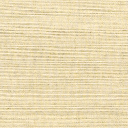 Shang Extra Fine Sisal Behang Thibaut Grasscloth Resource Volume 4 Putty T5032