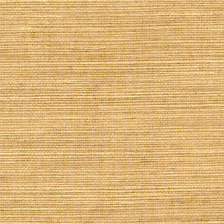 Shang Extra Fine Sisal Behang Thibaut Grasscloth Resource Volume 4 Tobacco T5036