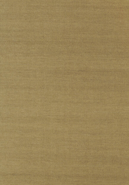 Shang Extra Fine Sisal Behang Thibaut Grasscloth Resource Volume 4 T41177 Khaki