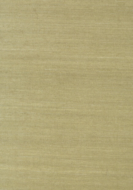 Shang Extra Fine Sisal Behang Thibaut Grasscloth Resource Volume 4 T41166 Moss