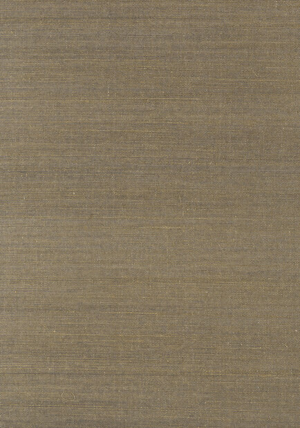 Shang Extra Fine Sisal Behang Thibaut Grasscloth Resource Volume 4 T41176 Ash