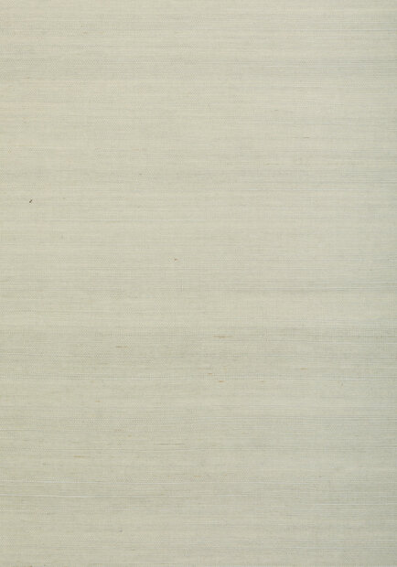 Shang Extra Fine Sisal Behang Thibaut Grasscloth Resource Volume 4 T72829 Fog