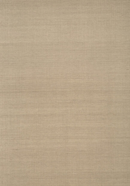 Shang Extra Fine Sisal Behang Thibaut Grasscloth Resource Volume 4 T41160 Linen