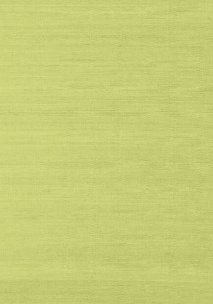 Shang Extra Fine Sisal Behang Thibaut Grasscloth Resource Volume 4 T41181 Green
