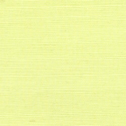 Shang Extra Fine Sisal Behang Thibaut Grasscloth Resource Volume 4 T5019 Spring Green