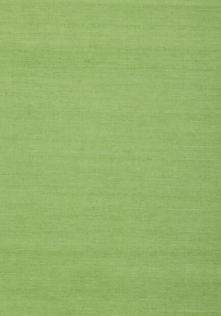 Shang Extra Fine Sisal Behang Thibaut Grasscloth Resource Volume 4 T72832 Kelly Green
