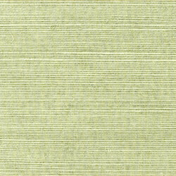 Shang Extra Fine Sisal Behang Thibaut Grasscloth Resource Volume 4 T5016 Willow