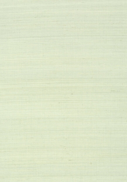 Shang Extra Fine Sisal Behang Thibaut Grasscloth Resource Volume 4 T41162 Green Tea