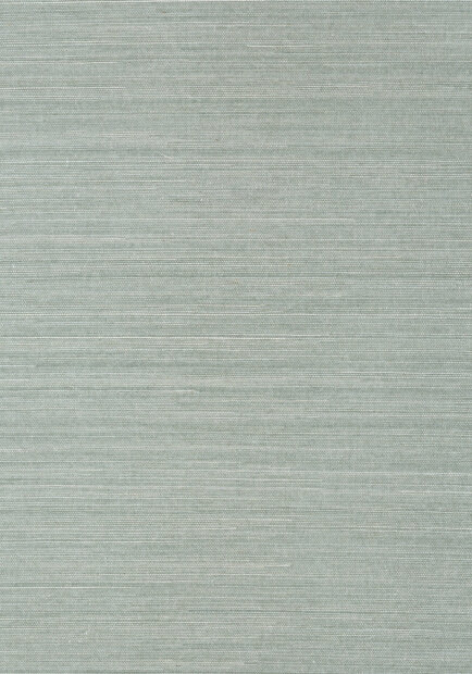 Shang Extra Fine Sisal Behang Thibaut Grasscloth Resource Volume 4 T41168 Mineral