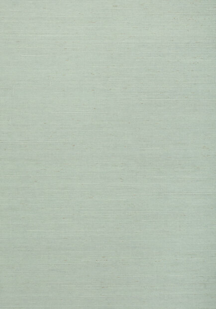 Shang Extra Fine Sisal Behang Thibaut Grasscloth Resource Volume 4 T72834 Sea Mist