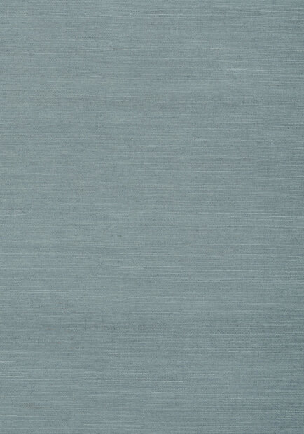 Shang Extra Fine Sisal Behang Thibaut Grasscloth Resource Volume 4 T72836 Winter Sea