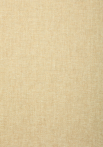 Thibaut Golden Gate Behang T72868 Wheat