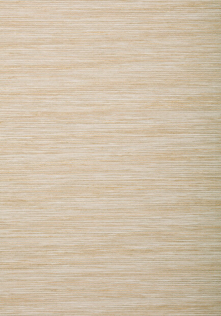 Thibaut Stream Weave Behang T72848 Sand