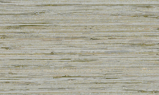 Arte Behang Borneo behangcollectie Boa202