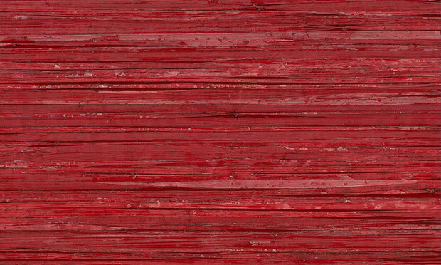 Arte Behang Borneo behangcollectie Boa207