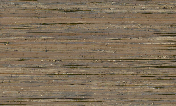 Arte Behang Borneo behangcollectie Boa209