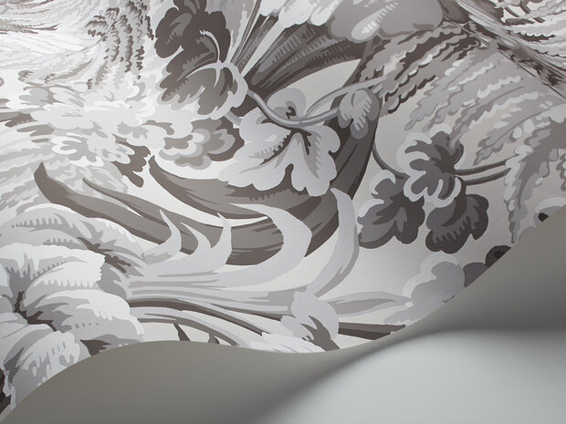 Cole and Son Royal Fernery 113-3011 Martyn Bullard