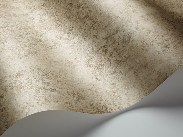 Cole and Son patina Haze 113-9026 Martyn Bullard