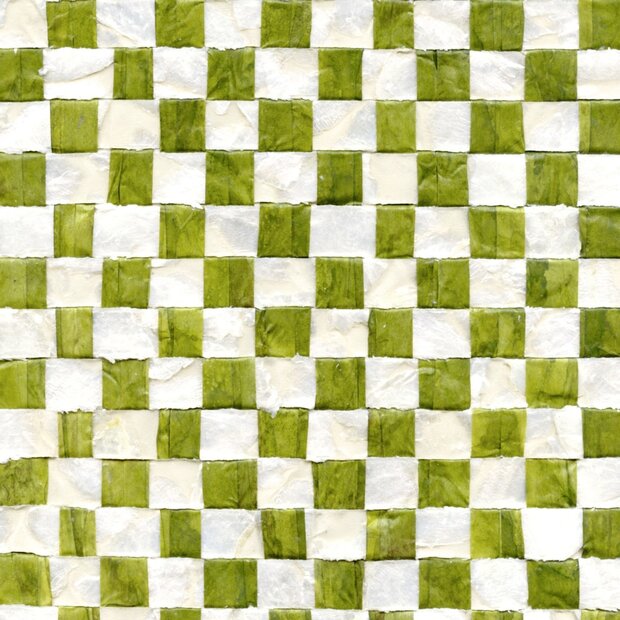 Nacre Vichy Behang ELITIS Costa Verde Collectie RM_675_67