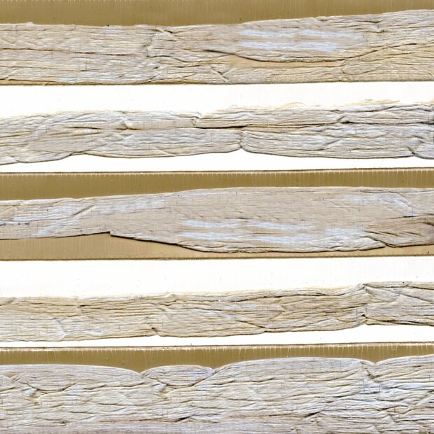 Carneiros Behang ELITIS&nbsp;- Costa Verde Collectie RM_677_40