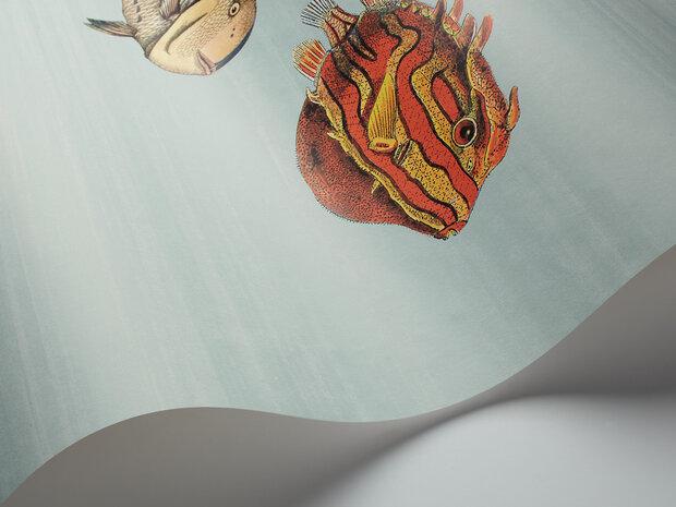 Fornasetti Acquario behang Cole and Son 97-10030