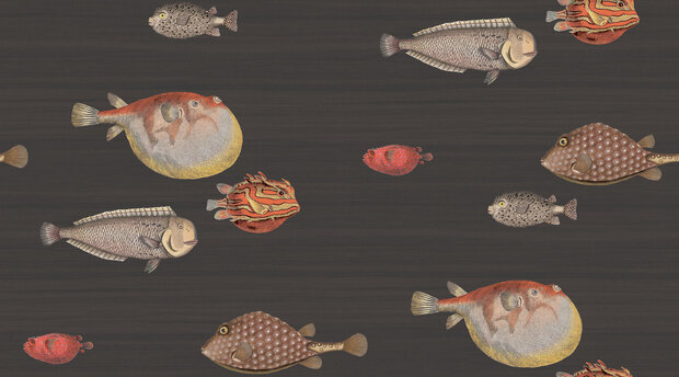 Fornasetti Acquario behang Cole and Son 97-10048