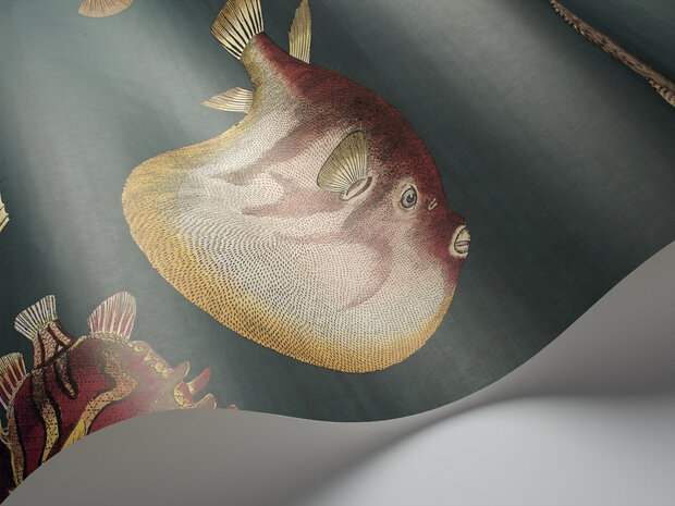 Fornasetti Acquario behang Cole and Son 114-12024