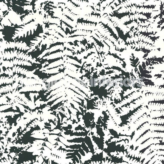 Little Greene Fern Behang - Off Black