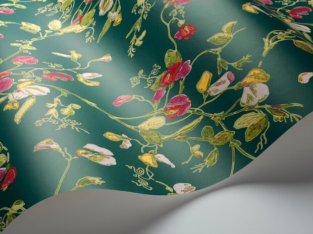 Cole and Son Sweet Pea behang botanical botanica behang 115-11033