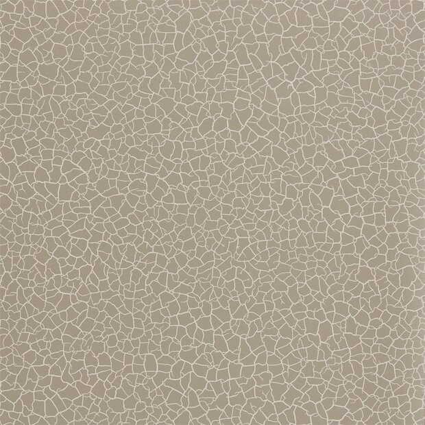 Zoffany Behang Cracked Earth Akaishi Behang Collectie 312528