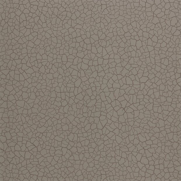 Zoffany Behang Cracked Earth Akaishi Behang Collectie 312527