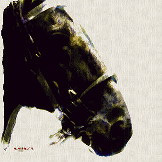 ELITIS Montauk Behang Paneel - Panoramique&nbsp;Collectie DM_270_06