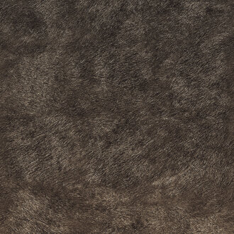 ELITIS The Spirit Of Natives Behang Paneel 