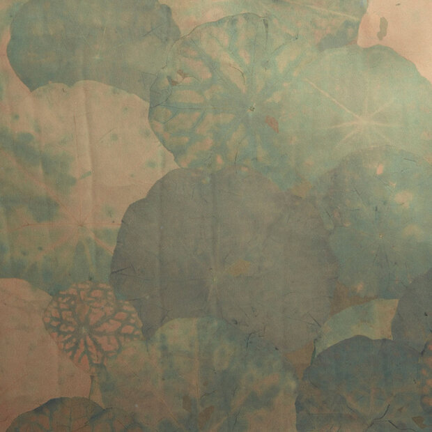 Nobilis Nympheas Behang Stenope Behang Collectie STN60