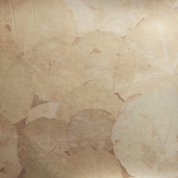 Nobilis Nympheas Behang Stenope Behang Collectie STN61