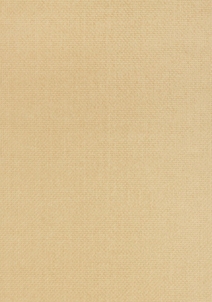 Thibaut Sachon Basket Behang T1003